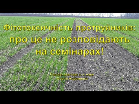 Видео: Фітотоксичність протруйників: про що не розповідають на семінарах