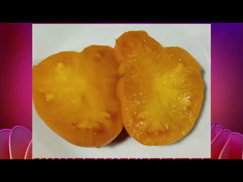 Видео: Гномы томатные.  Каталог 2024 года и обзор томатных гномов.  г.  Киров