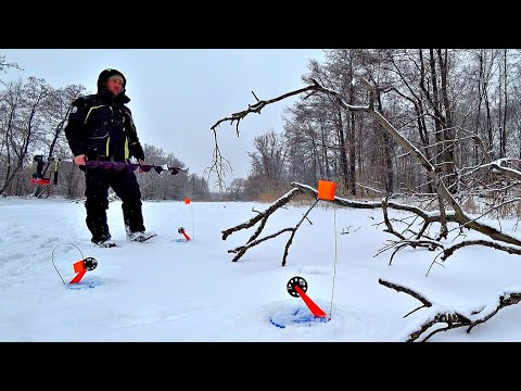 Видео: ЩУКИ СОШЛИ С УМА, столько сработок не успеваю проверять. Жор щуки в феврале 2023. Рыбалка на жерлицы