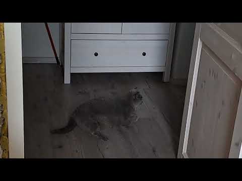 Видео: 15.09.2025 домашний день и немного Крита ❤️таверна Акрояли Бали