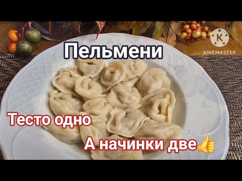 Видео: ПЕЛЬМЕНИ ТЕСТО ОДНО А НАЧИНКИ ДВЕ PELMENI HAVE ONE DOUGH AND TWO FILLINGS #пельмени #tastyfood