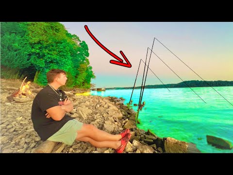 Видео: Ловля сома с берега! (Осенние советы и рекомендации)