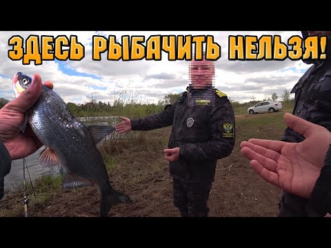Видео: СЫРТЬ НА РЕКЕ ЛУГА НА ФИДЕР С БЕРЕГА. РЫБООХРАНА - ЗДЕСЬ ЛОВИТЬ ЗАПРЕЩЕНО!