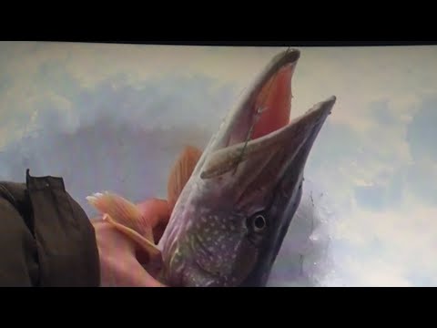 Видео: РЫБАЛКА В ЗАЛИВЕ БОЛЬШАЯ ДЕРБИНА.ЭТИ ЩУКИ НЕ ЛЕЗУТ В ЛУНКИ.ЧАСТЬ 2.