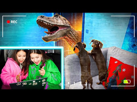 Видео: СЛЕДИМ ЗА ЧАПИТОСИКАМИ 24 ЧАСА || ВПЕРВЫЕ ОСТАВИЛИ ОДНИХ