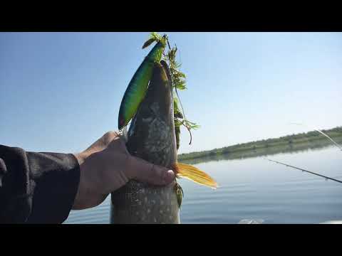 Видео: Рыбалка на Megabass Kanata 160F