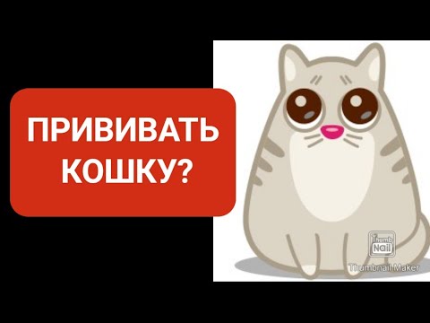 Видео: Прививать кошку или нет?