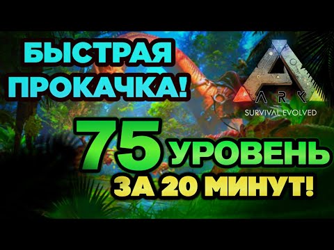 Видео: КАК БЫСТРО ПОДНЯТЬ УРОВЕНЬ В АРК МОБАЙЛ? ARK MOBILE ФАРМ ОПЫТА #ark #arkmobile #аркмобайл #арк #гайд