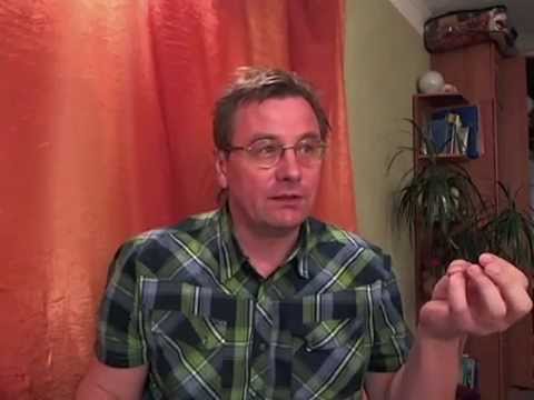 Видео: Физик о Буддизме 2. Учение Будды.