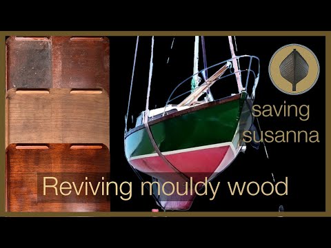 Видео: Обновление интерьера кабины! — Спасение Сюзанны, эпизод 10