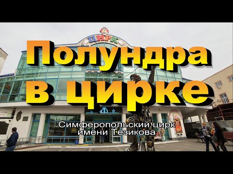 Видео: Полундра в цирке