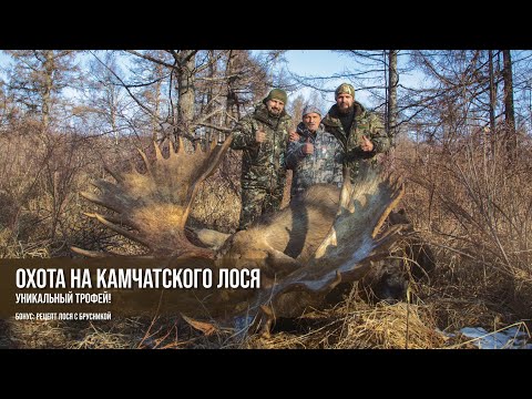 Видео: Охота на Камчатского Лося. Уникальный трофей! Бонус: рецепт лося с брусникой