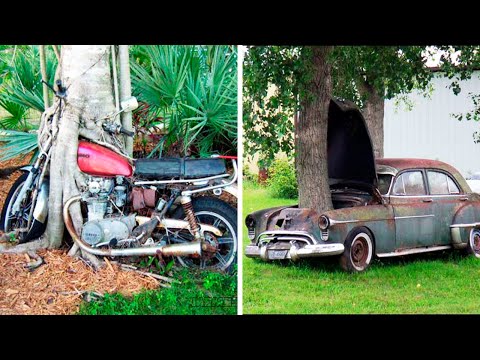 Видео: Проигранная битва против дикой природы