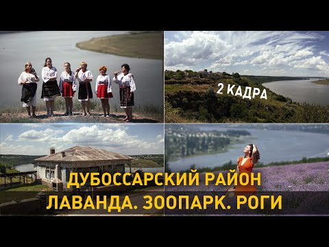 Видео: Дубоссарский район. Лаванда. Зоопарк. Роги. 2 кадра 09.07.2020