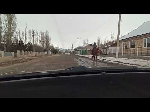 Видео: Алайкуу жолу