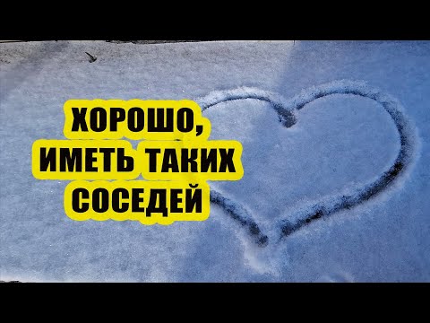 Видео: Хорошо иметь таких соседей 💗 | 🎧 День сурка, год сурка, жизнь сурка...