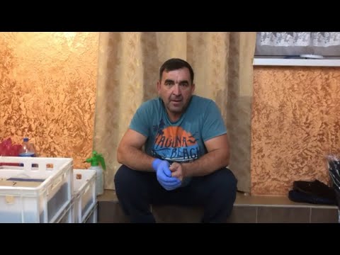 Видео: Мои начинания в червеводстве| черви Дендробена