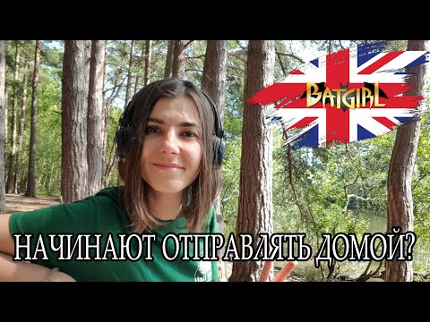 Видео: Не делаешь норму? Отправляют домой! Ужесточение правил работы на ферме в Англии