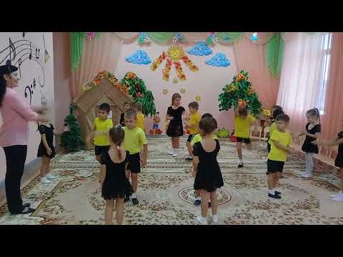 Видео: Полька "Дружные пары"