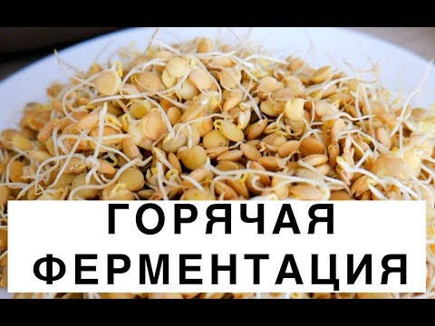 Видео: Горячая ферментация, зачем и как это делать