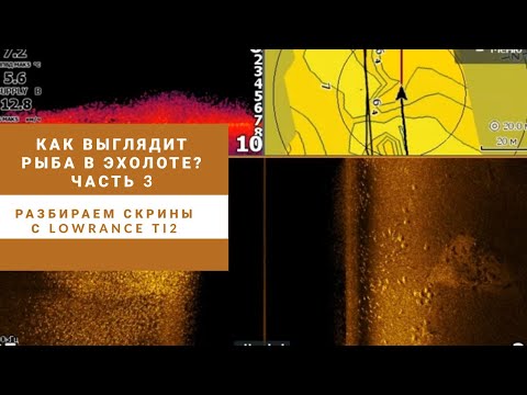 Видео: Как выглядит рыба в эхолоте. Часть 3. Скрины Lowrance Ti2 9". Щука, судак, сазан.