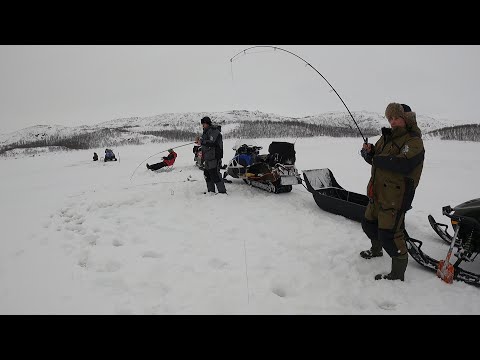 Видео: РЫБАЛКА В БАРЕНЦЕВОМ МОРЕ СО ЛЬДА / ICE FISHING IN THE BARENTS SEA