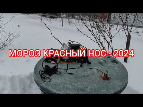 Видео: "Мороз Красный нос - 2024"