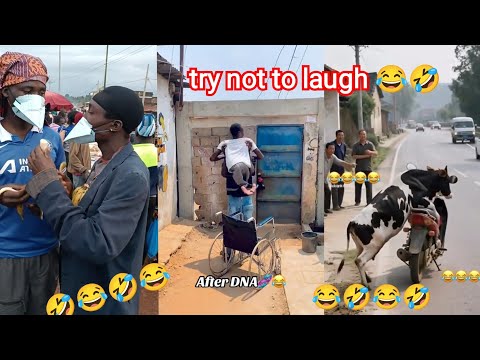 Видео: Безумные🤣 самые смешные видео в мире 😂 Попробуй не засмеяться Челлендж 🤣😂 Топ 50🤣🤣