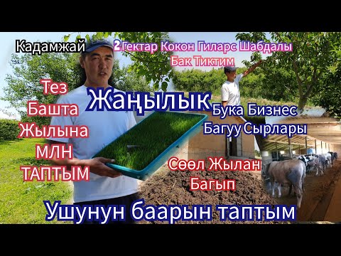 Видео: Бизнесмен Сиз үчүн  Жакшы  жаңылык  Сөзсүз  Көрүңүз👍