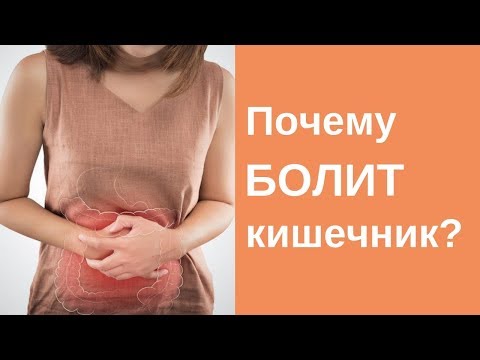 Видео: Почему БОЛИТ КИШЕЧНИК? Колит. Что это может быть?