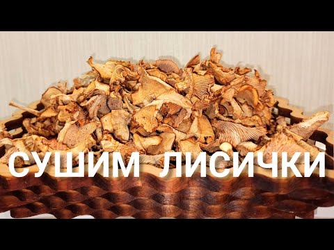 Видео: СУШИМ ЛИСИЧКИ НА ЗИМУ! Как правильно сушить лисички. Компактное хранение лисичек зимой.