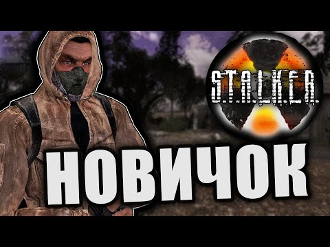 Видео: Один день из жизни новичка в зоне [STALKER RP | Mysterious Zone]