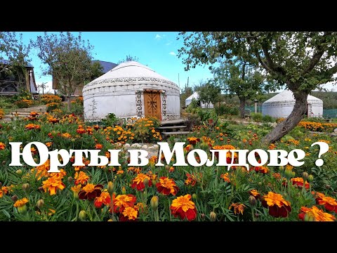 Видео: Юрты В Молдове ?