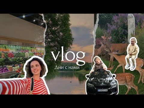 Видео: VLOG/Новый зоопарк/Купили машину/Жизнь в Германии 🇩🇪/Путешествие на машине по Германии🛻