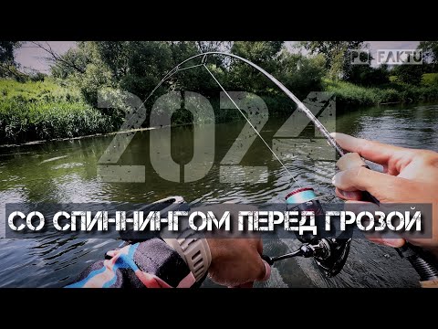Видео: Рыбалка перед грозой 😱. Как ведет себя рыба ? Лето 2024