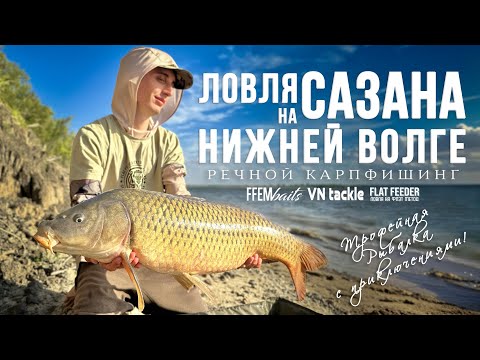 Видео: Ловля сазана и приключения на Нижней Волге