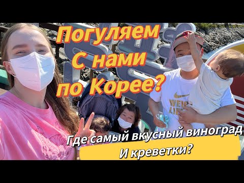 Видео: Контент от корейской свекрови/увезла за вкусным виноградом/гуляем у моря/морской рынок