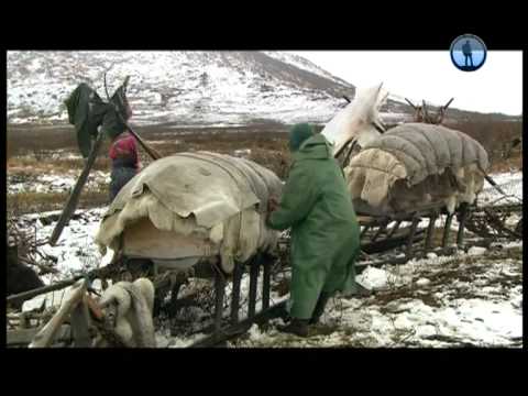 Видео: Коми. Путовање кроз Арктик