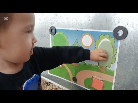 Видео: 30 января 2025 г.