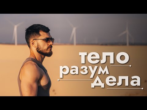 Видео: Как всего три приложения организовали всю мою жизнь.