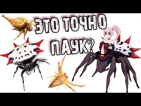 Видео: Таких пауков вы ещё не видели!!! ТОП необычных пауков