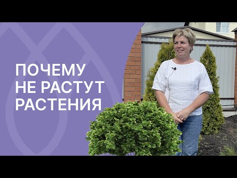 Видео: Растения в грунте плохо растут и не развиваются? Я знаю почему!