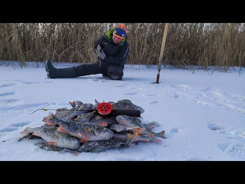 Видео: Балансир ИЛИ Мормышка. Ловля окуня на заливах реки Днепр