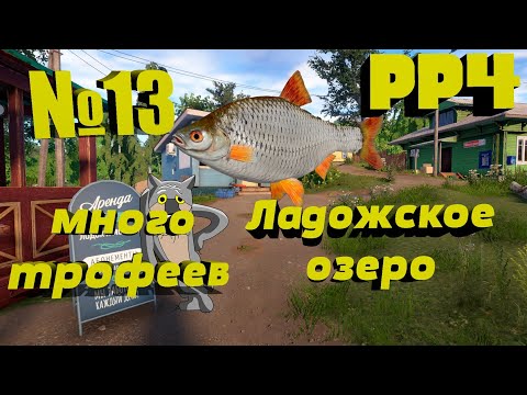 Видео: Фарм на озере Ладожское. Раздача трофеев. Путь от новичка к Профи