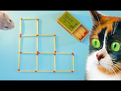 Видео: УБЕРИ ДВЕ СПИЧКИ ЧТОБ ОСТАЛОСЬ 4 КВАДРАТА
