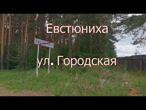 Видео: Нижний Тагил, посёлок Евстюниха, ул  Городская.