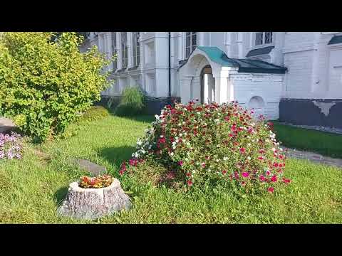 Видео: Выходные в Раифе #семья #прогулка #святыеместа