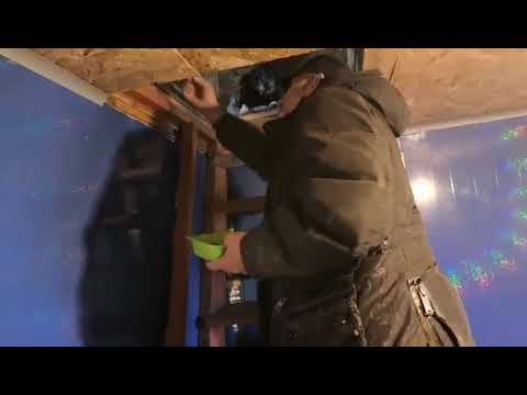 Видео: Кирилла на время выходных подменит Алексей! Приют ДРУГ ЖИВИ. Г. ОМСК