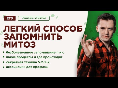 Видео: Как легко запомнить МИТОЗ | ЕГЭ Биология | Даниил Дарвин