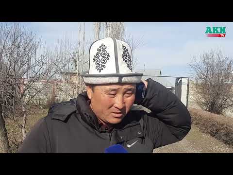 Видео: Сузак: каза болгон окуучу токмок жеген жай, мугалимдер, маркумдун жакындары үн катышты